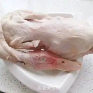 Make Duck step 0