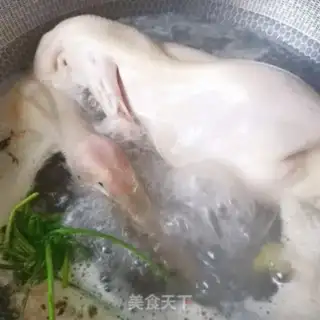 Make Duck step 1