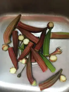 Make The white sunflower step 0