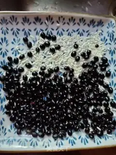Make Black bean milk step 1