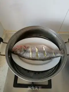 Make Vacuate herring step 2