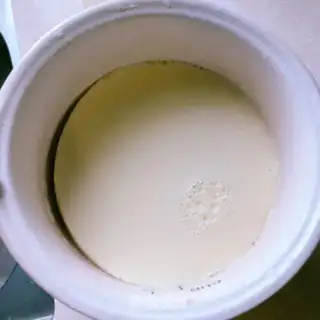 Make Tofu brain step 5