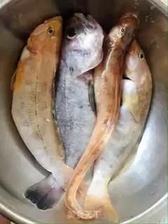 Make Home-breeded fish step 0