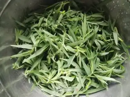 Make Steam broom step 1
