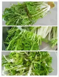 Make Protein bar and vegetable salad step 2