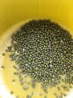 Make Iced green bean soup step 0