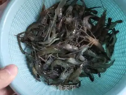 Make Shrimp step 0