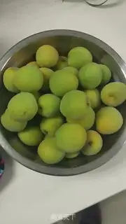 Make Plum step 0