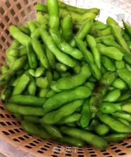 Make Salt-water beans step 0