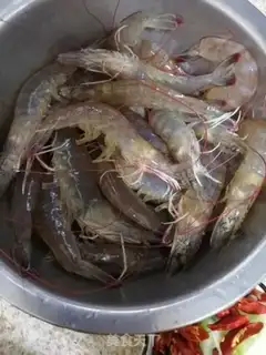 Make Pelican shrimp step 0
