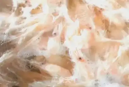 Make Salt-water shrimp step 3
