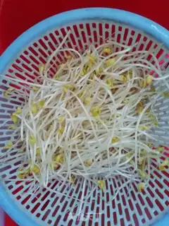 Make Bean sprouts of carrots step 1