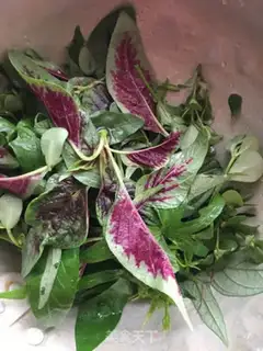 Make Salted groceries step 0