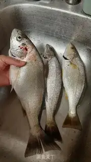 Make Sourfish step 0