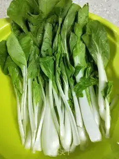 Make Sour cabbage step 0
