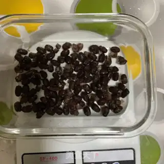 Make Milk bean cake step 0