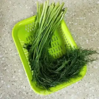 Make Scrawny broth step 0
