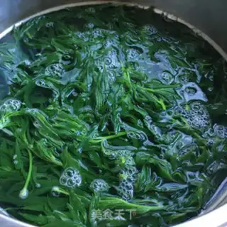 Make A sprouts of oil broom step 1