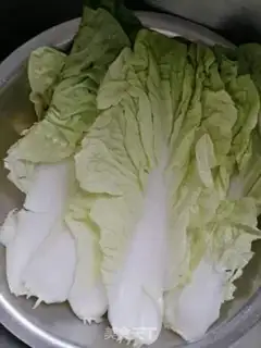Make Sour cabbage step 0