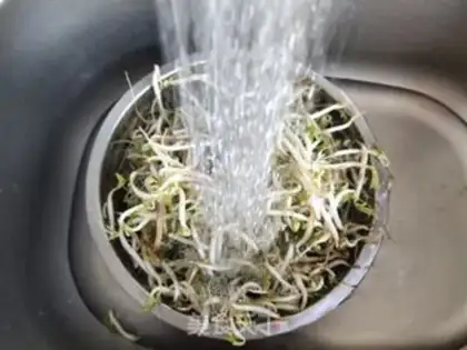 Make Spruct step 0
