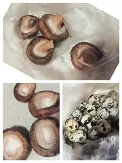 Make Frozen eggs step 0