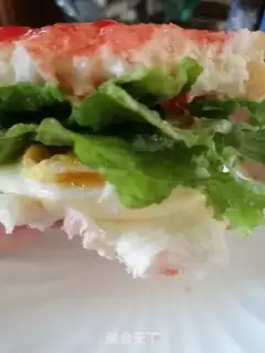 Make Open sandwich with ketchup step 9
