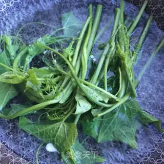 Make Pumpkin sprouts step 2
