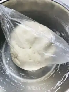 Make The cage bag step 4