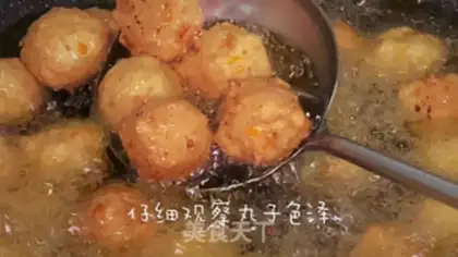 Make Tofuballs step 11