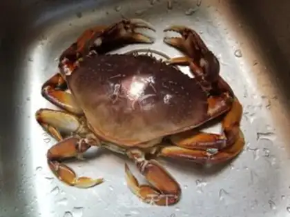 Make Big crabs steam rice step 1