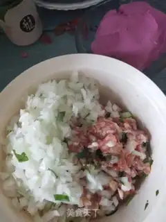 Make Pork onion dumplings step 1