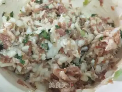 Make Pork onion dumplings step 2