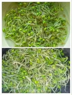 Make Kang-seok sprouts step 1