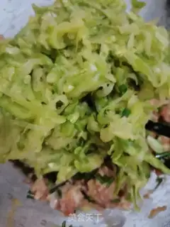 Make Spicy meat dumplings step 5
