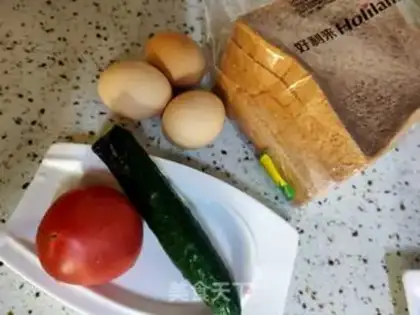 Make Home sandwich step 0