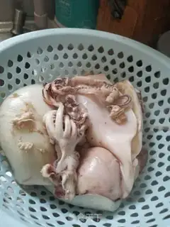 Make Burning squid step 0