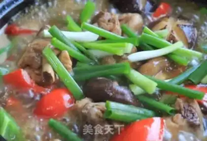 Make Frozen chicken step 5