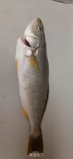 Make The soybeans and the yellowfish step 0
