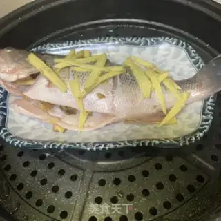 Make Vacuate herring step 2