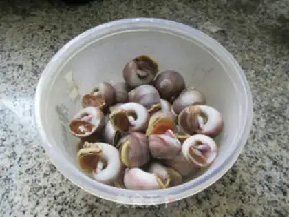 Make Smelly conch step 4