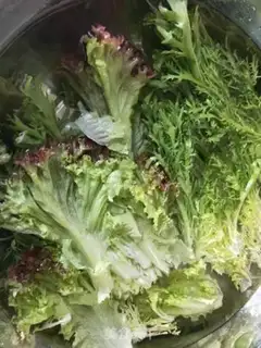 Make Shizusala step 1