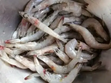 Make Shrimp onions step 1