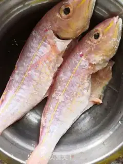 Make Red Shirt Fish step 0