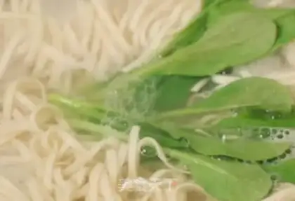 Make Fresh noodles step 2