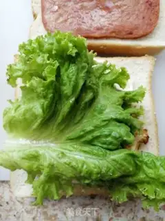 Make Lunch meat sandwich step 6