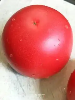 Make Tomatoes step 0