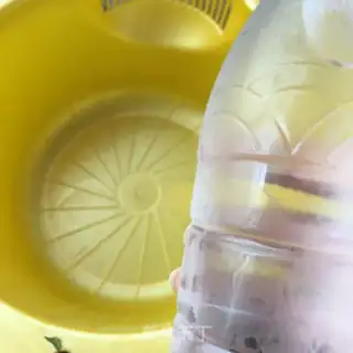 Make Lemon chicken claws step 16