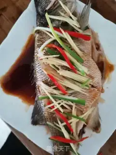 Make Vacuate herring step 5