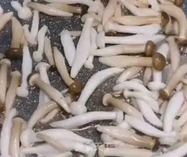 Make Twin mushrooms and egg rice step 2