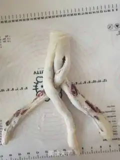 Make The potato hand tore bread step 8